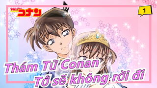 [Thám Tử Conan] Rab, lần này tớ không đi đâu cả (Bộ sưu tập tình yêu của Shinichi & Ran)_1