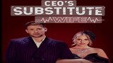 CEO's Substitute Wife