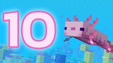 10 เรื่องน่ารู้เกี่ยวกับ ปลาตีนเม็กซิโก (Axolotl) ในเกม Minecraft