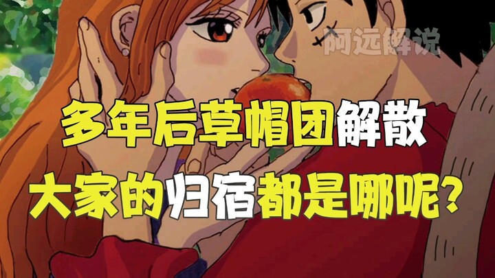 多年后草帽团解散！他们的归宿会如何呢？