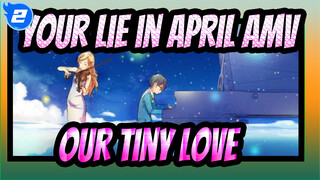 [Your lie in April AMV] The Song of Our Tiny Love_2