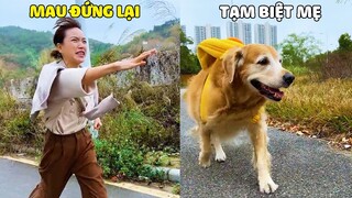 Đại Trang | Khi Đại Trang Quyết Tâm Bỏ Nhà Đi Bụi Và Cái Kết Vừa Lòng Mẹ Lắm 🤣 Gâu Đần Official