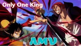 One Piece「AMV」