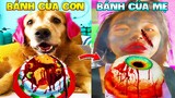 Thú Cưng Vlog | Chó Gâu Đần Golden Troll Mẹ #25 | Chó golden vui nhộn | Funny pets smart dog