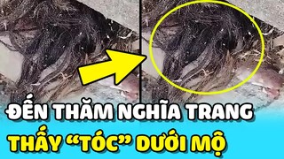 💥Người đàn ông HOẢNG SỢ khi thấy "TÓC NGƯỜI" thò ra một ngôi mộ | TIN GIẢI TRÍ