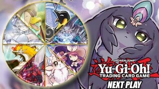 Purrely Takeover Is Here! Yu-Gi-Oh! Next Play Tournament Breakdown January 2023