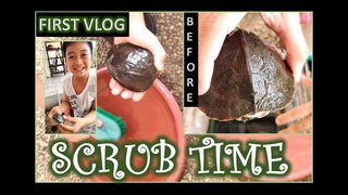 First vlog - Cleaning the turtles