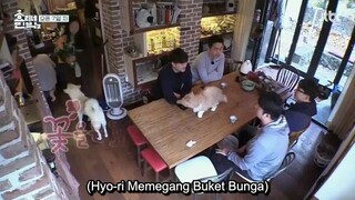 Hyori's Bed & Breakfast 2 Ep 10