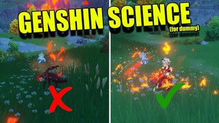 Genshin SCIENCE!  Elemental gauge theory!(you NEED to know!)