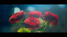 5te4lth - EP04