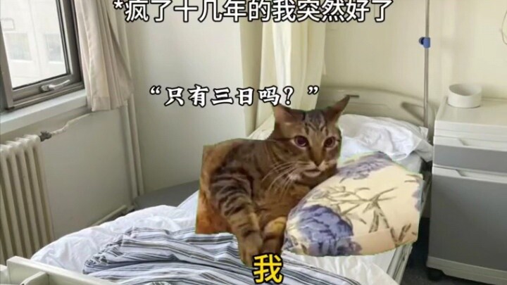 I will give you three days of freedom to finish your mundane affairs.