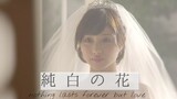 [Remix]33 Aktris Jepang Memakai Gaun Pengantin Putih|<深红の花>