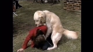 Dog attacking a female reporter