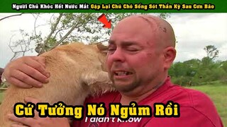 Người Chủ Khóc Hết Nước Mắt Khi Được Gặp Lại Chú Chó Sống Sốt Thần Kỳ Sau Cơn Bão | Tám Tới Tấp