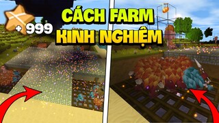 MINI WORLD SINH TỒN : XÂY HỆ THỐNG FARM KINH NGHIỆM TRONG SINH TỒN MỚI