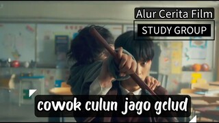 Alur Cerita Film Study Group