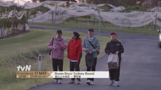 Busan Boys: Sydney Bound | 釜山人出城記 - 雪梨篇 Teaser