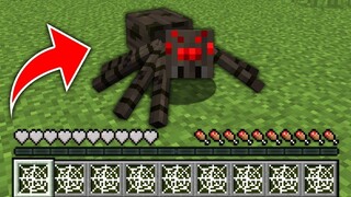 ถ้าเกิด!! ต้องมาใช้ชีวิตเป็นแมงมุม 1 วัน ในมายคราฟ... 🕷️ (Minecraft)