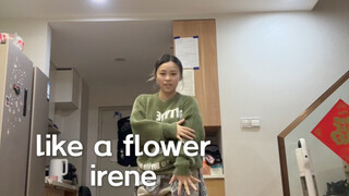 好的编舞真的很重要/irene/like a flower翻跳