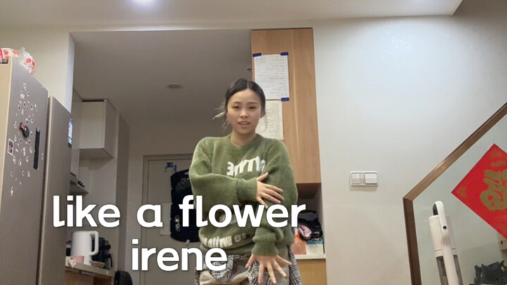 好的编舞真的很重要/irene/like a flower翻跳