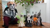 Halloween ma quái, phản ứng của bốn bé chó dể thương/Spooky Halloween!  How Four cute dogs react.