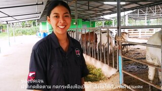 รีบเลยจร้าๆๆราคานี้มีไม่เยอะ หมอแอมคนสวยจ้า|ช่องชัดเจนChatgen farm|