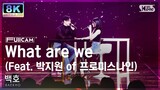[초고화질 8K] 백호 'What are we (Feat. 박지원 of 프로미스나인)' 풀캠 (BAEKHO FullCam) @SBS Inkigayo 231210
