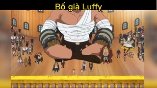 Bố già Luffy#daohaitac#anime#edit#tt#xuhuong