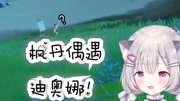 美露辛：你全家都是迪奥娜