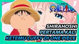 Shirahoshi Pertama Kali Ketemu Luffy Di One Piece