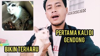 Masya Allah Kucing Lumpuh Yang Di Gerogoti Belatung Di Gendong Seneng Banget Sampai Mau Nangis..!