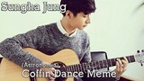 Coffin Dance Meme - Sungha Jung
