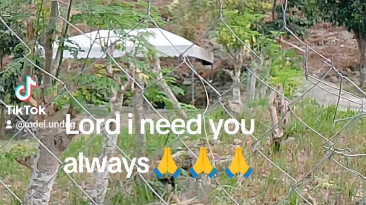lord I need you