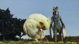 [Special Effects] Special feature on Xuanfeng Special Effects Production!