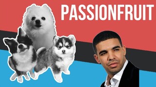 Passionfruit but it's Doggos and Gabe
