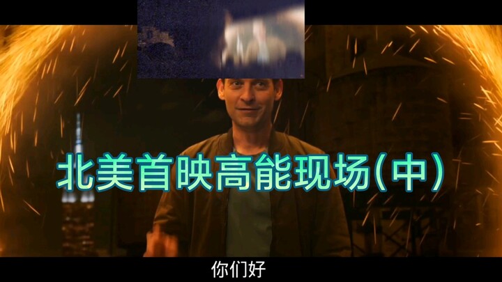 三虫同框！！！也许这个视屏能挽回你没能看《蜘蛛侠3:英雄无归》首映的遗憾