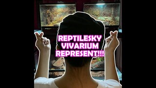 ReptileSky Vivarium Represent! Rehousing Hamorii & Longimanus | VLOG#10