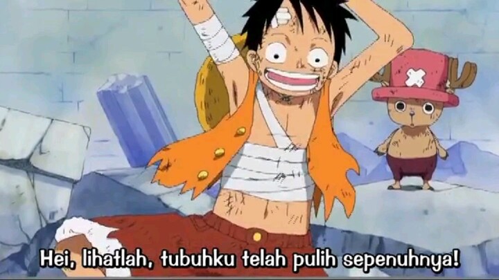 Kabarnya sampe sekarang luffy belum tau🥲