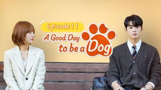 AGDaytobea🐕🐶 | ep11 | EngSub