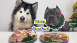An eating contest between two dogs