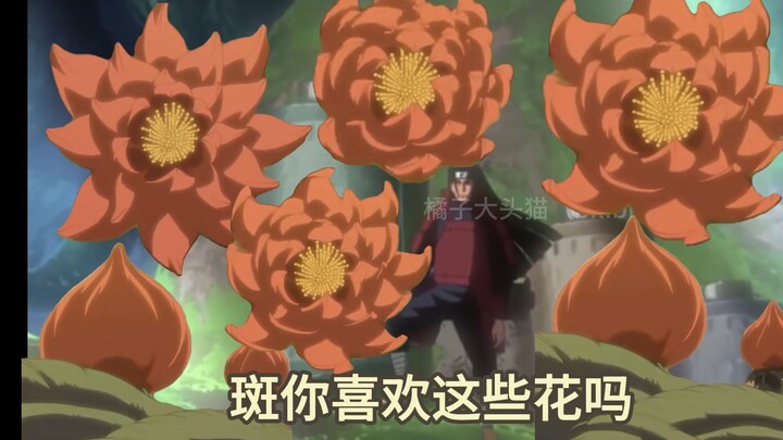卡卡西的亲热天堂再次坑害宇智波
