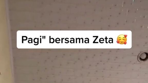 Halu dengan Zeta