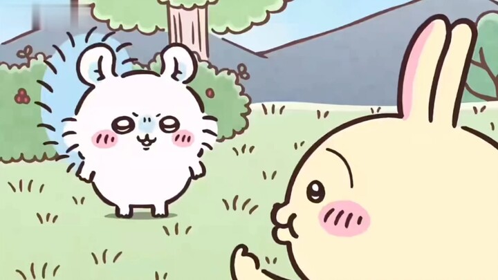 It's the Momoka baby