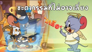 tom and jerry chase | ชะตากรรมที่เจ้าไม่อาจเลี่ยง !!!