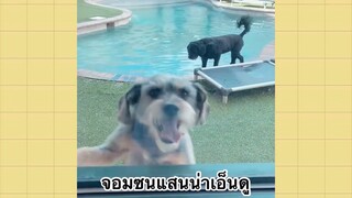 เพื่อนตัวน้อยแสนซน : จอมซนแสนน่าเอ็นดู