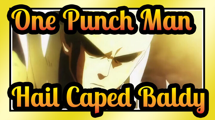 [One Punch Man] Hail Caped Baldy