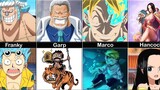 One Piece All Characters As Kids