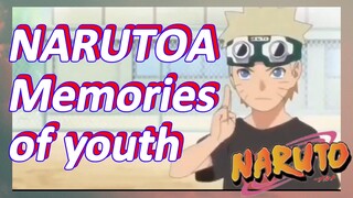 NARUTOA Memories of youth