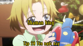 Shaman king_Tập 20 Tên ngốc này