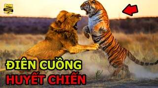 🔴Rợn Gáy Với Tử Chiến Kinh Hoàng Giữa Chúa Tể Muôn Loài Và Chúa Sơn Lâm - Ai Mới Là Vua?